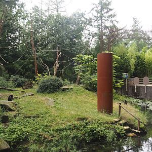 Lion-tailed macaque island, 2024-08-18