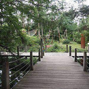 Boardwalk near the Lion-tailed macaque island, 2024-08-18