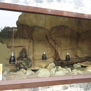 Egyptian tortoise terrarium in the Barbary macaque walk-through area, 2024-08-18