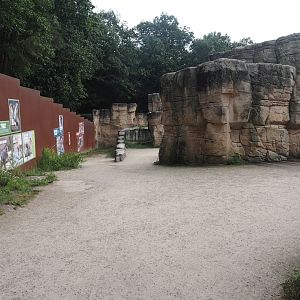 Barbary macaque walk-through area, 2024-08-18