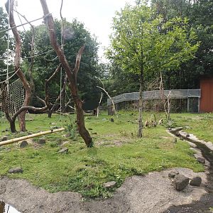 Barbary macaque walk-through area, 2024-08-18