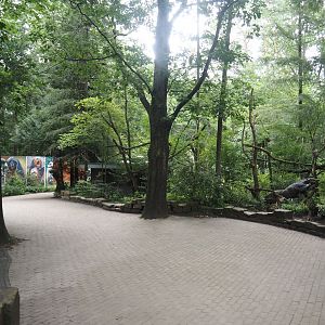 Area behind the gibbon house, formerly a walk-through area with South American monkeys, 2024-08-18