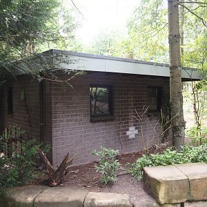 Northern white-cheeked gibbon house, 2024-08-18