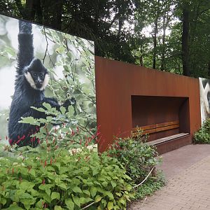 Rest area near the Northern white-cheeked gibbon island, 2024-08-18