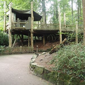 South American monkey walk-through area with the monkey tree-top path, 2024-08-18