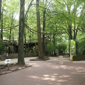South American monkey walk-through area with the monkey tree-top path, 2024-08-18