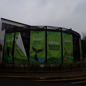 Tecton roundhouse 11.2.25