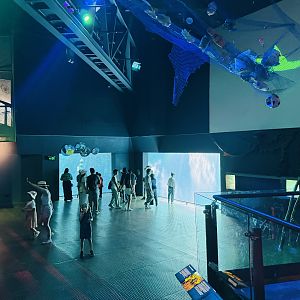 Interior of Wild Sea