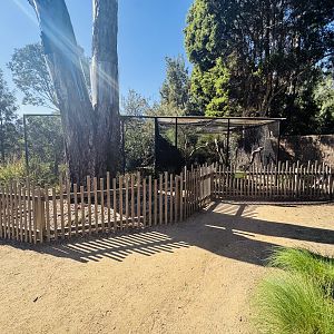 Rainbow Lorikeet/Tawny Frogmouth aviaries