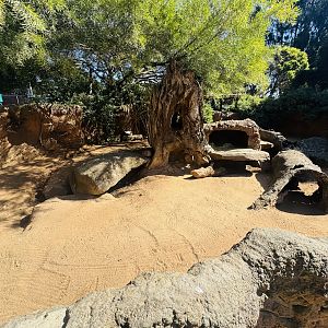 Hairy-nosed wombat enclosure