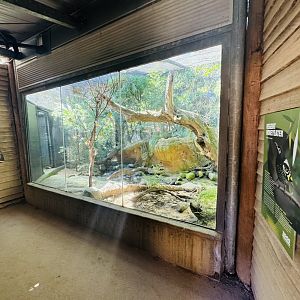 Regent honeyeater aviary