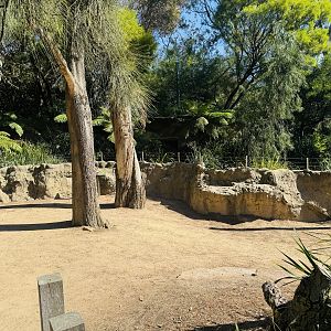 Echidna/potoroo enclosure