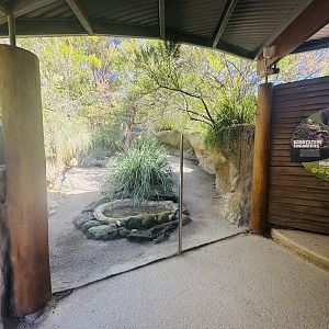 Echidna/potoroo enclosure