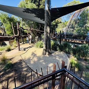Koala/quokka enclosure