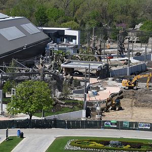 May 2025 - Tropical Forests construction