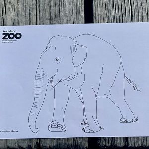 Burma (Colouring Sheet)