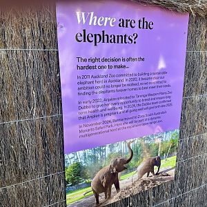Elephant Signage