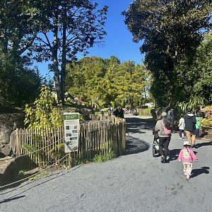 Dinosaur Track - Entrance