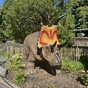 Dinosaur Track - Diabloceratops