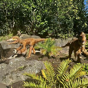 Dinosaur Track - Deinonychus