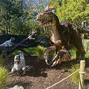 Dinosaur Track - Utahraptor