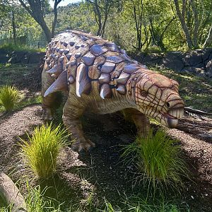 Dinosaur Track - Edmontonia
