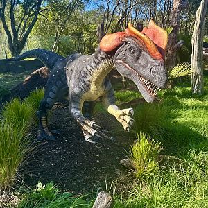 Dinosaur Track - Dilophosaurus