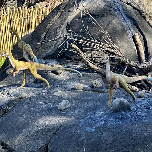 Dinosaur Track - Compsognathus