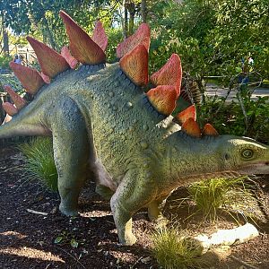 Dinosaur Track - Stegosaurus