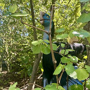 Dinosaur Track - Citipati