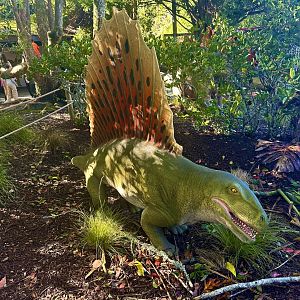 Dinosaur Track - Dimetrodon