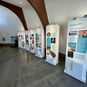 NZCCM (Interior)