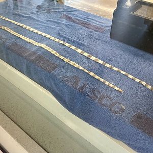 Yellow-lipped Sea Krait Shedded Skins