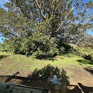 Australian Walkthrough (Emu Side)