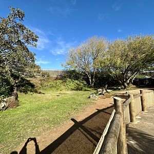 Australian Walkthrough (Kangaroo Side)