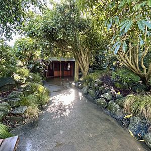 Australian Walkthrough Aviary