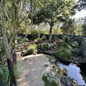 Tasmanian Devil Exhibit (Renovated)