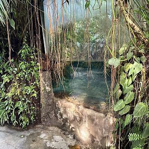 Tropical Dome - Viewing Window 5