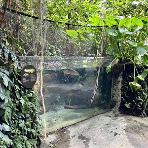 Tropical Dome - Viewing Window 7