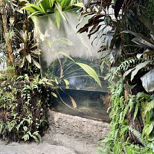 Tropical Dome - Viewing Window 8