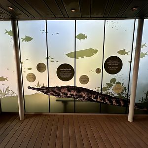 Tropical Dome Exit Foyer