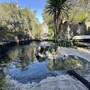 Little Blue Penguin Exhibit