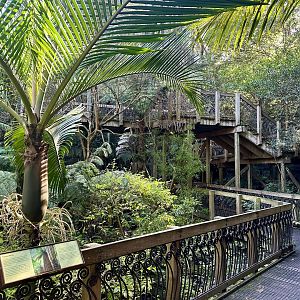 New Zealand Freeflight Aviary