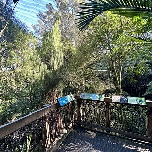 New Zealand Freeflight Aviary
