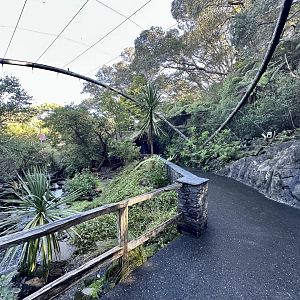 Kea Aviary