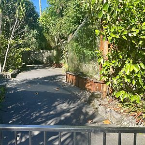 Reptile Row (Still Closed)