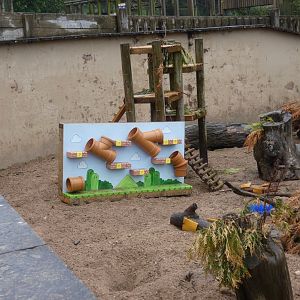 Meerkat 'Super Mario' enrichment