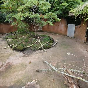 Cape porcupine enclosure