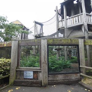 Bolivian squirrel monkey enclosure