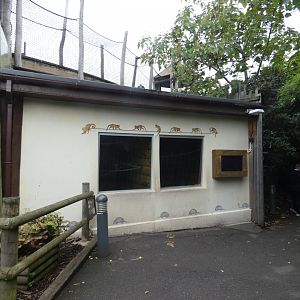 Bolivian squirrel monkey and six-banded armadillo house